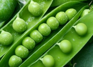 Güzelliğin Anahtarı Bu Besinlerde Güzelliğin anahtarı bu besinlerde