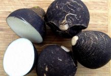 Siyah Turpun Faydaları Nelerdir? Siyah Turpun Faydaları Nelerdir