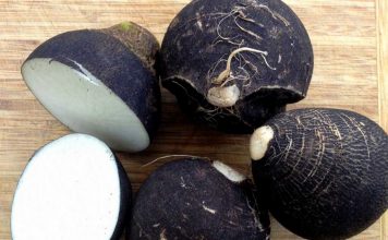 Siyah Turpun Faydaları Nelerdir? Siyah Turpun Faydaları Nelerdir